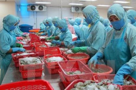 Xử lý nghiêm vụ cấp phép khống hơn 800 sản phẩm thuỷ sản theo quy định pháp luật