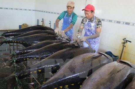 Xuất khẩu cá biển có thể đạt 8 tỷ USD