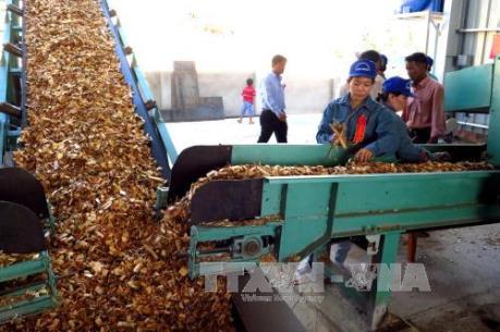 Hiệp định thương mại tự do Việt Nam - EU chịu tác động lớn từ Brexit