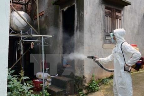Cảnh báo: Bệnh sốt xuất huyết đang có xu hướng gia tăng ở TP. Hồ Chí Minh