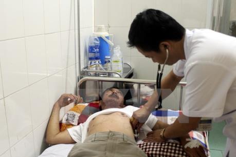 Ăn thịt cóc, 1 người chết, 2 người nhập viện