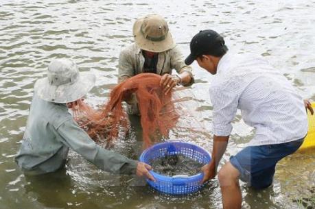 Bộ Tài chính lên tiếng về mức thuế suất thuế nhập khẩu với trứng Artemia