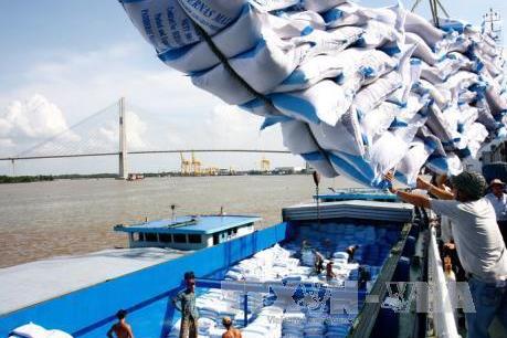 Tháng 7, xuất khẩu gạo đạt mức thấp nhất về lượng và giá trị