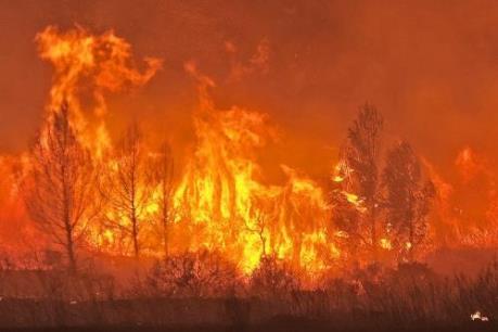 Xuất hiện đám cháy rừng mới ở gần biên giới Pháp, Tây Ban Nha