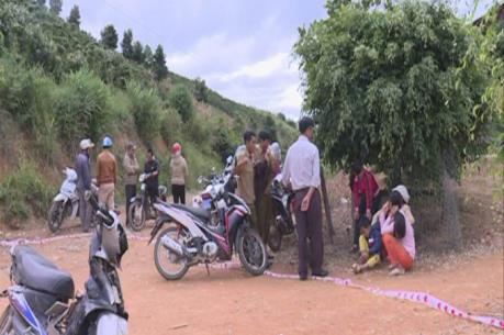 Khởi tố bị can, khởi tố vụ án truy sát cán bộ quản lý bảo vệ rừng ở Lâm Đồng