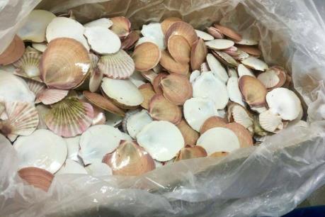 Ung thư có thể lây nhiễm giữa các loài