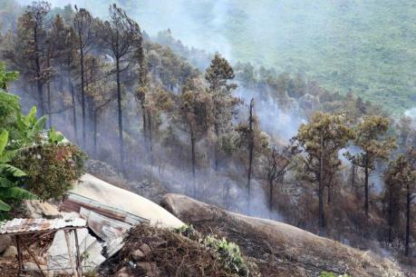Cháy lớn tại rừng đặc dụng Nam Hải Vân, Đà Nẵng