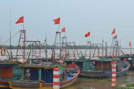 Cơn bão số 3:  Từ 17h ngày 18/8, Hải Phòng thực hiện lệnh cấm biển