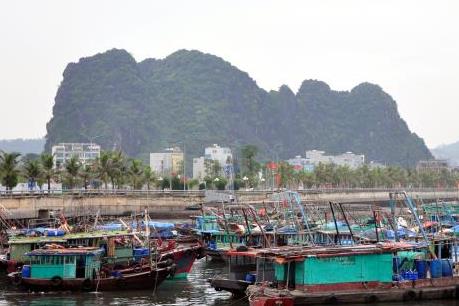 Ứng phó với bão số 7: Quảng Ninh thành lập 7 đoàn công tác chỉ đạo chống bão