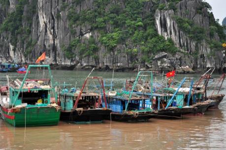 Tin bão số 3: Quảng Ninh hoàn thành gọi tàu bè về neo đậu