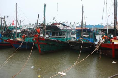 Ứng phó với bão số 3: Hải Phòng di dời hơn 11.000 người đến nơi tránh bão an toàn
