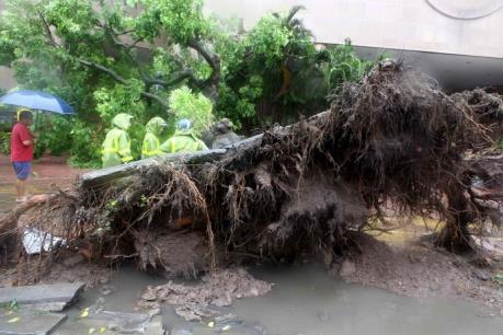 Thống kê mới nhất về thiệt hại do bão số 3 gây ra