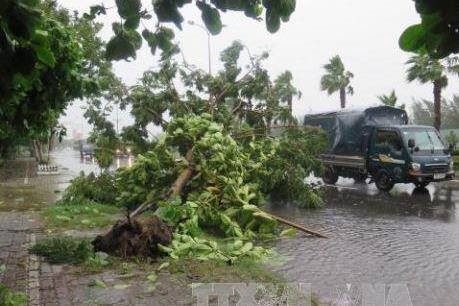 Bão số 3 đi vào đất liền các tỉnh Hải Phòng và Thái Bình, giật cấp 10-12