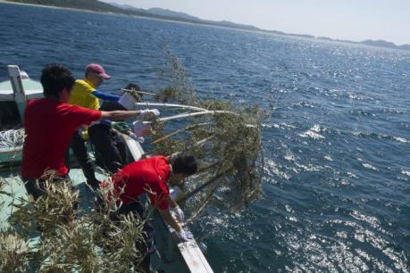 Động đất 6 độ richter ở Nhật Bản