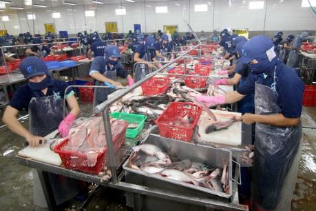 17 cơ sở chế biến thủy sản Việt Nam được xuất khẩu vào Panama
