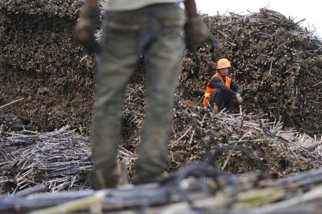 Trung Quốc: Nhập khẩu đường trong tháng Bảy giảm gần 14%