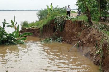 Hưng Yên: Kịp thời xử lý sự cố sạt mái đê sông Hồng tại Văn Giang
