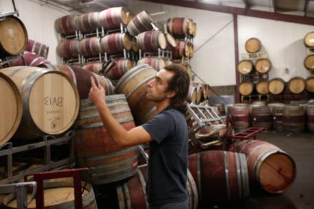 Du lịch rượu vang hút khách Tây Âu