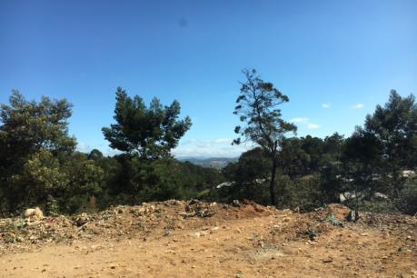 Lâm Đồng mở lại bãi rác Cam Ly