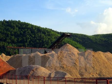 Xuất khẩu dăm gỗ Việt Nam đối mặt với khó khăn chồng chất