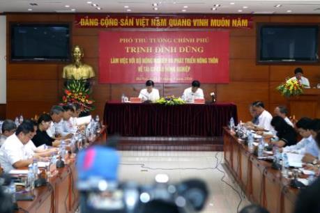 Tái cơ cấu nông nghiệp: Xây dựng ba trục sản phẩm