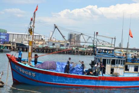 Phú Yên: Bắt đối tượng dùng hoá chất đánh bắt thuỷ sản trái phép