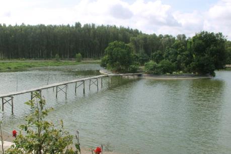 Rừng tràm nước phèn Hậu Giang: Khu du lịch sinh thái lớn nhất Đồng bằng sông Cửu Long