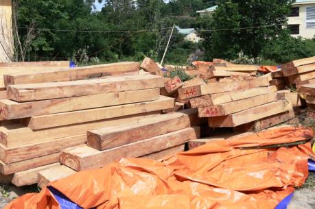 Quảng Nam: Thưởng "nóng" Ban chuyên án điều tra vụ phá rừng pơ mu