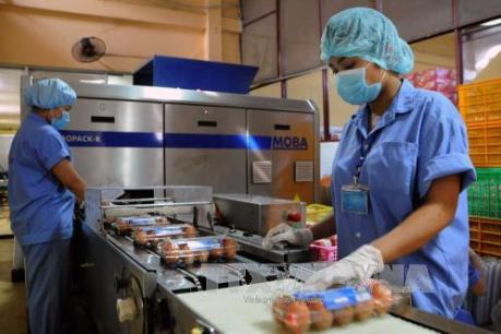 Áp dụng hạn ngạch thuế quan nhập khẩu thuốc lá và trứng gia cầm