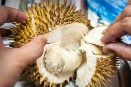 Cách phân biệt sầu riêng ngâm thuốc với sầu riêng chín tự nhiên