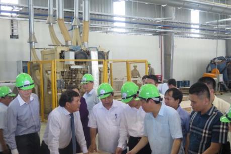 Phó Thủ tướng Vương Đình Huệ khánh thành Nhà máy chế biến gỗ Nghệ An