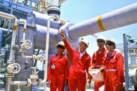 Chuẩn bị các phương án vận hành hệ thống điện khi nguồn khí Nam Côn Sơn giảm và ngừng