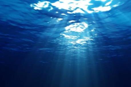 Biến đổi khí hậu đang hủy hoại đại dương