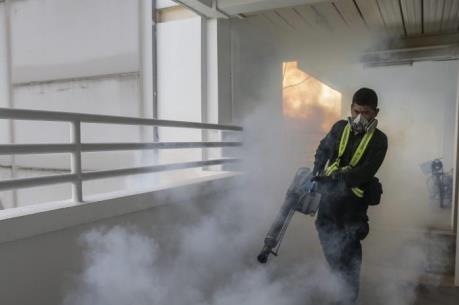 Singapore xác nhận 16 phụ nữ mang thai bị nhiễm virus Zika