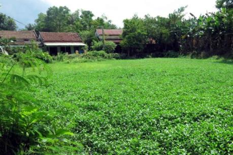 Liên tục xuất hiện động đất tại các huyện miền núi tỉnh Quảng Nam