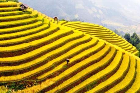 Những điểm đến không thể bỏ qua trong dịp "mùa thu vàng"