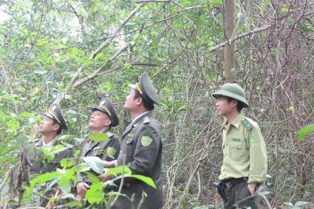 Đồng Nai: Khởi tố đối tượng đánh cán bộ kiểm lâm đang làm nhiệm vụ trên hồ Trị An