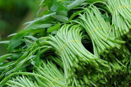 Phát hiện hơn 1,5 tấn rau muống ngâm hóa chất độc hại