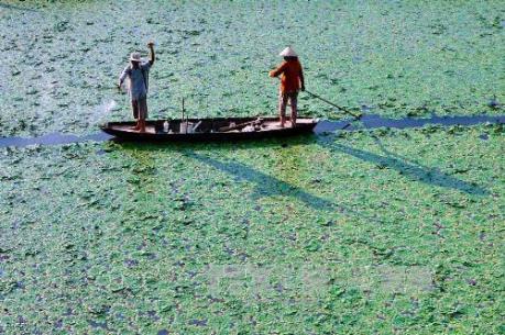 Kiên Giang chủ động phòng chống khô hạn xâm nhập mặn