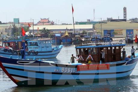 Ngư dân Đà Nẵng bị ảnh hưởng sự cố môi trường biển miền Trung được hỗ trợ gần 1,9 tỷ đồng