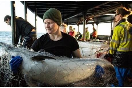 Biến đổi khí hậu ảnh hưởng nặng nề tới nghề đánh cá ở Trung Mỹ