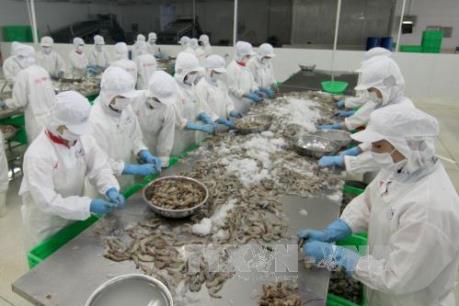  Bắt giám đốc Công ty Thủy sản Minh Hiếu