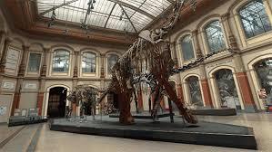 Google ra mắt bảo tàng trực tuyến về lịch sử tự nhiên Australia