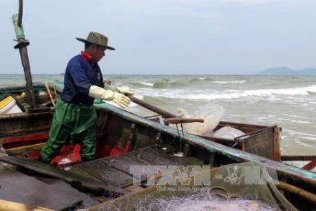 Hà Tĩnh: Lập danh sách các đối tượng bị ảnh hưởng sự cố môi trường