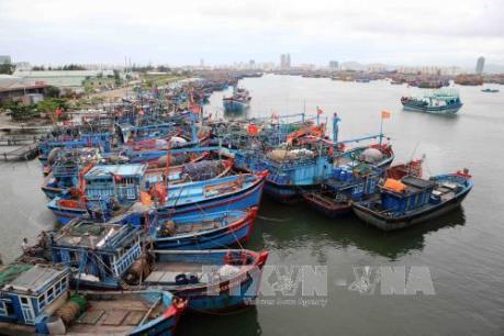 Dự báo thời tiết: Bão số 5 gây gió giật cấp 17 trên biển Đông