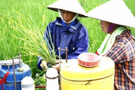 Nhiều thủ đoạn tinh vi trong kinh doanh thuốc bảo vệ thực vật