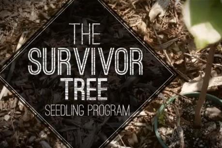 Mỹ tặng Pháp hạt giống cây sống sót trong vụ 11/9