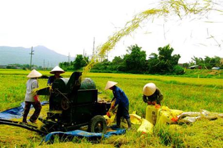 Phát triển nông nghiệp bền vững trong hội nhập ASEAN
