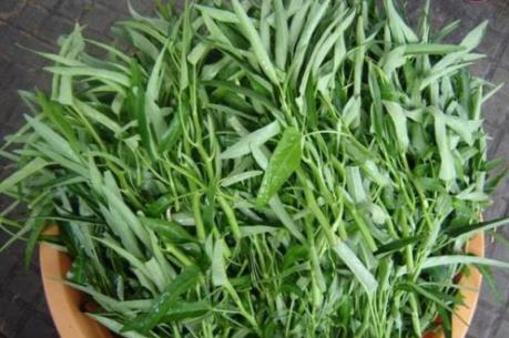 Cách chọn rau muống ngon và an toàn nhất định bạn phải biết