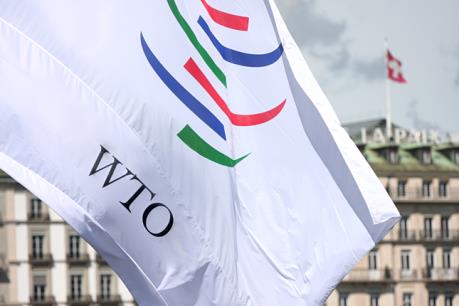Ukraine khởi kiện lên WTO về việc Nga hạn chế hàng hóa quá cảnh